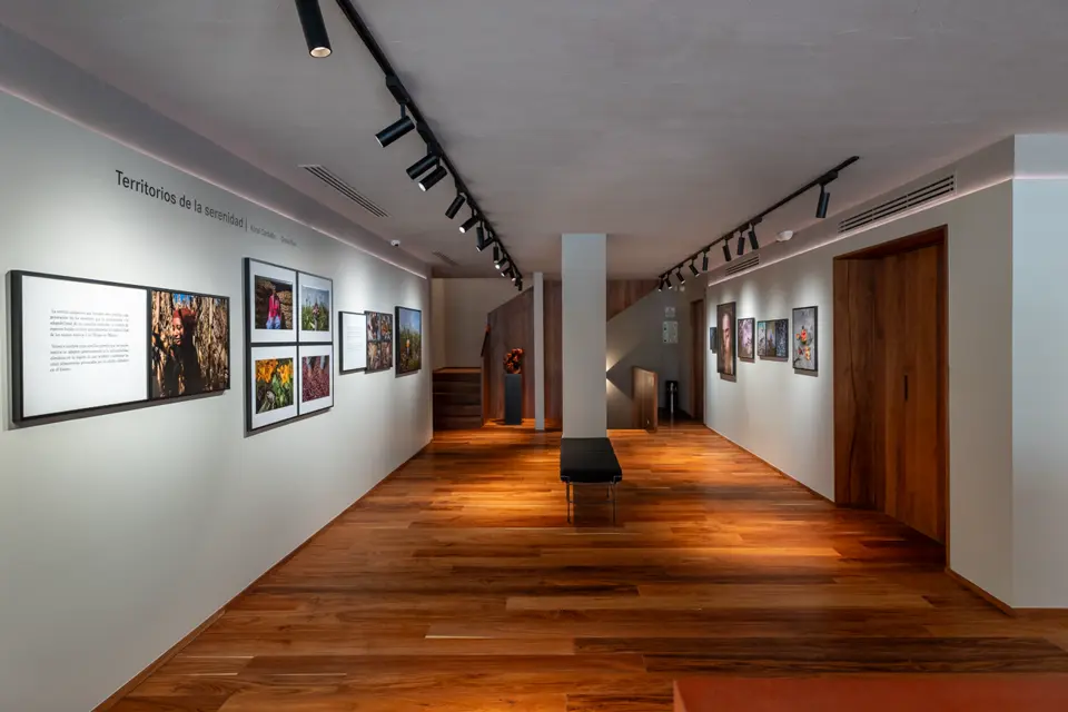 Exhibition in Leica Gallery Mexico City.