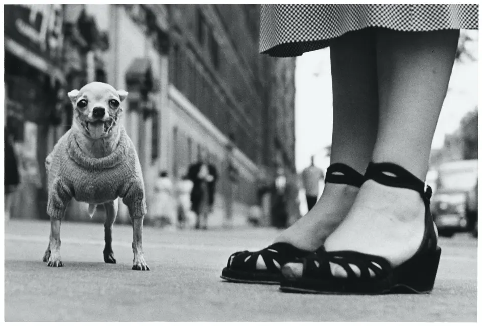 01_new_york_city_usa_1946_c_elliott_erwitt_magnum_photos.jpg
