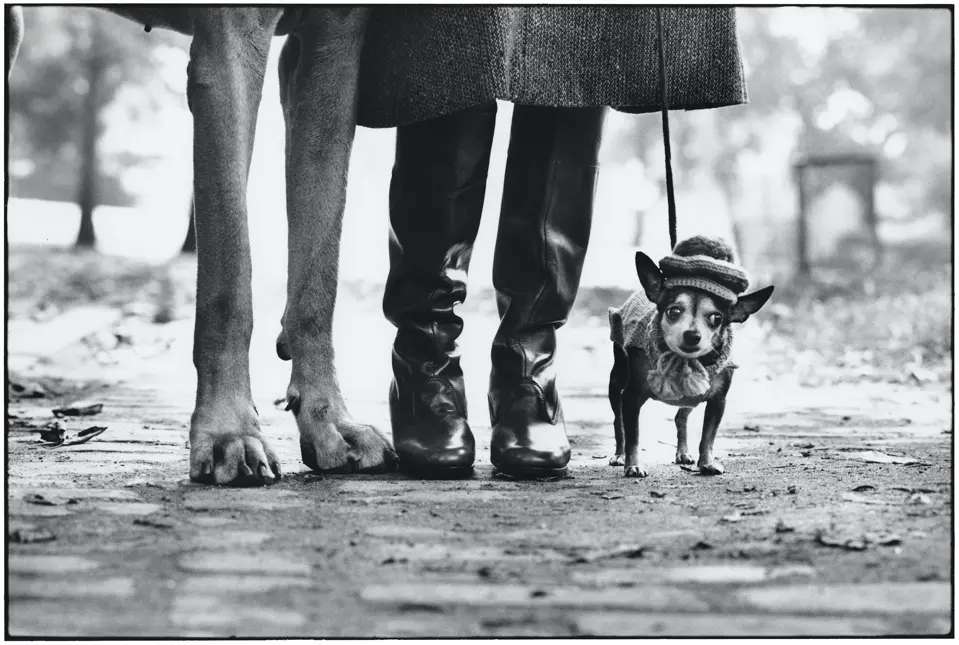 05_felix_gladys_rover_new_york_city_usa_1974_c_elliott_erwitt_magnum_photos.jpg