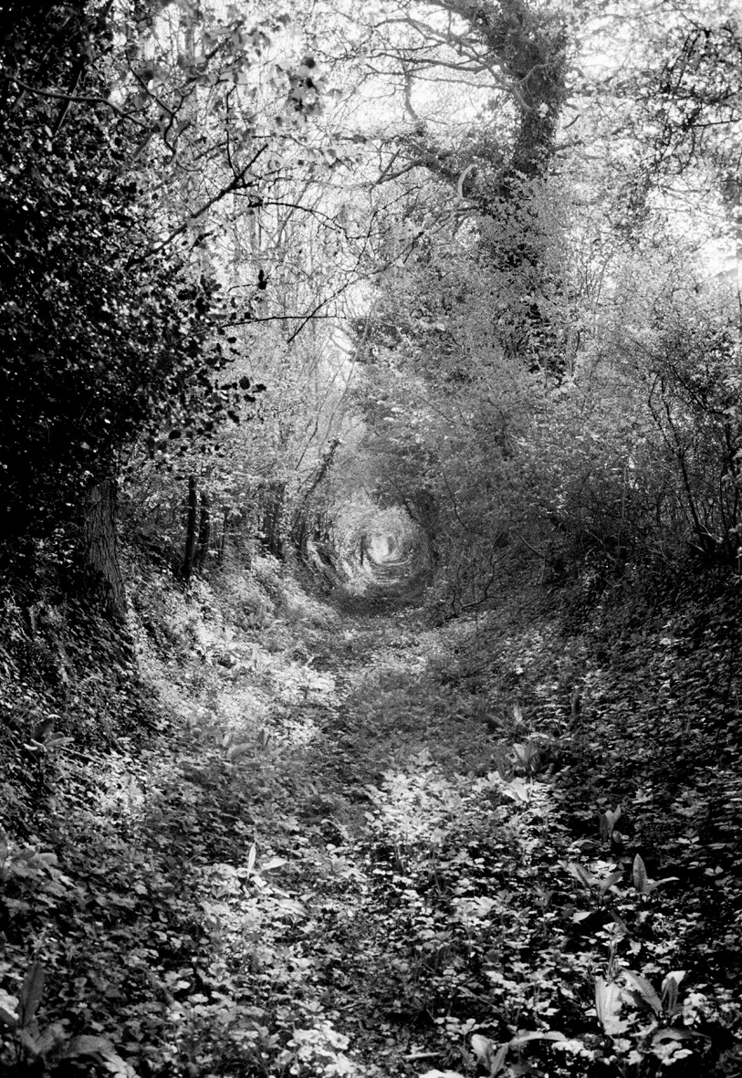 03_benjamin_katz_normandie_2003_landschaft.jpg