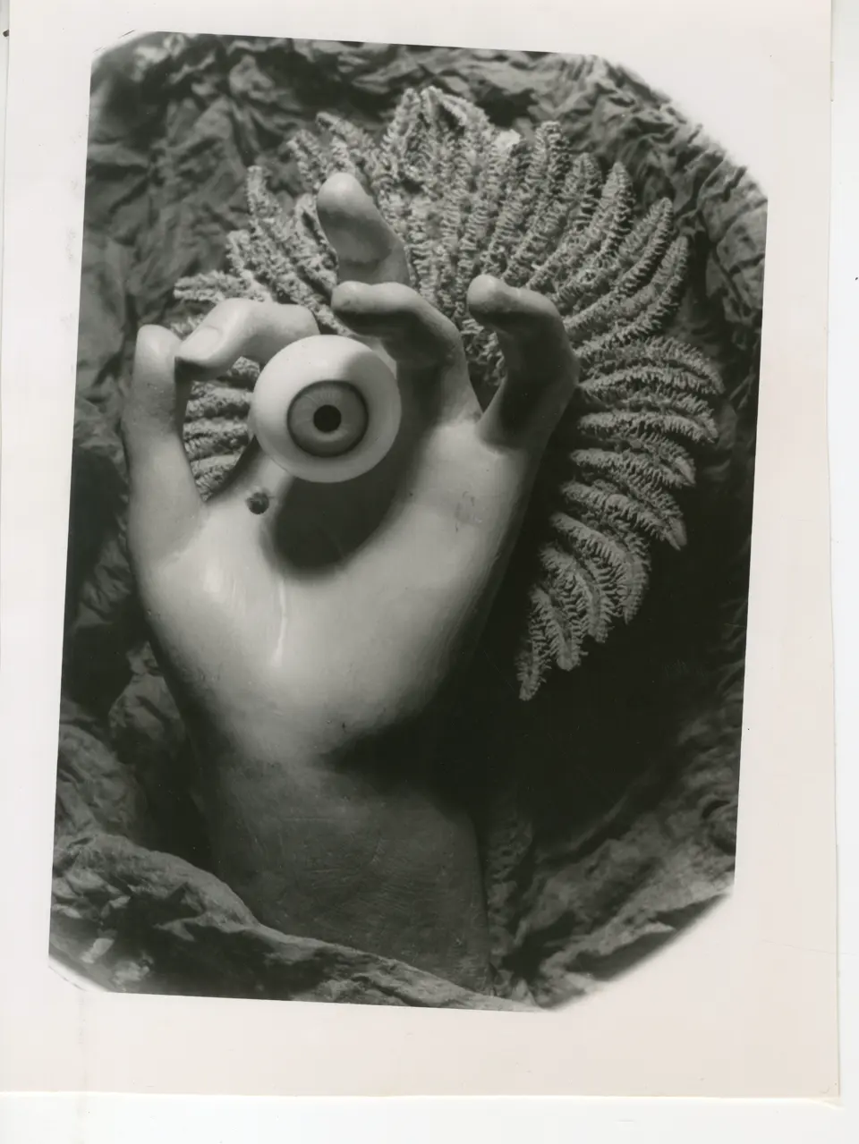 Exposición Centenario Surrealista