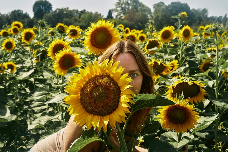 A girl in a field full of sun flowers