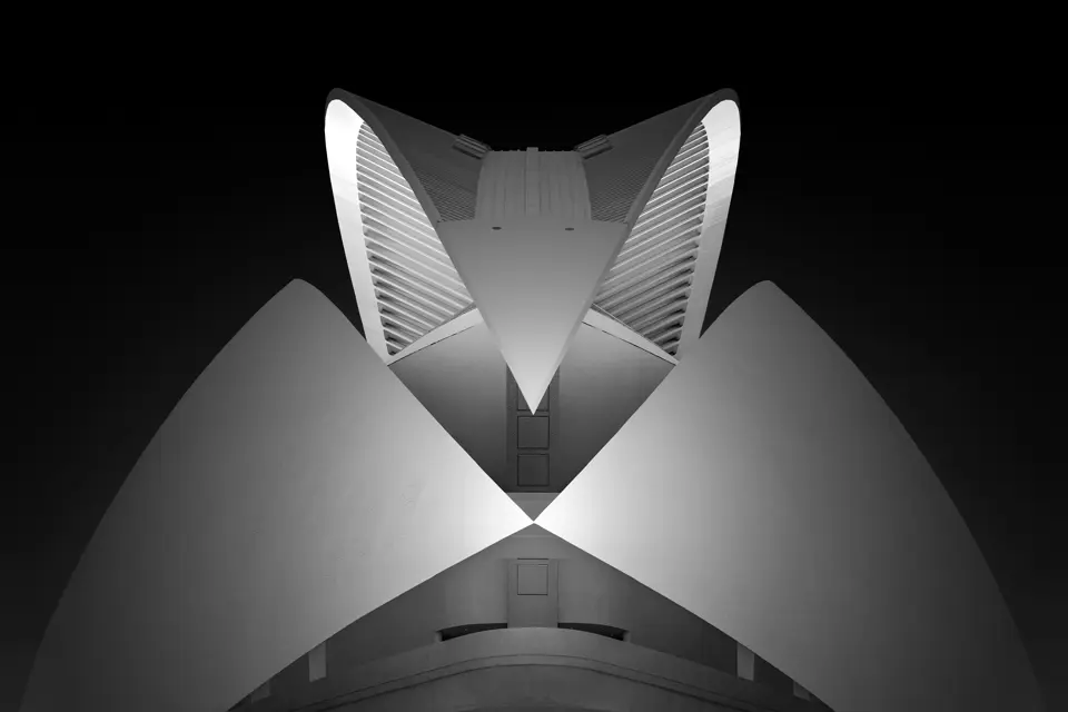 David-Osborn_Mantis--Valencia--Spain-2018.jpg