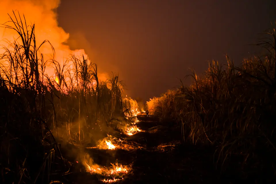 Field fire