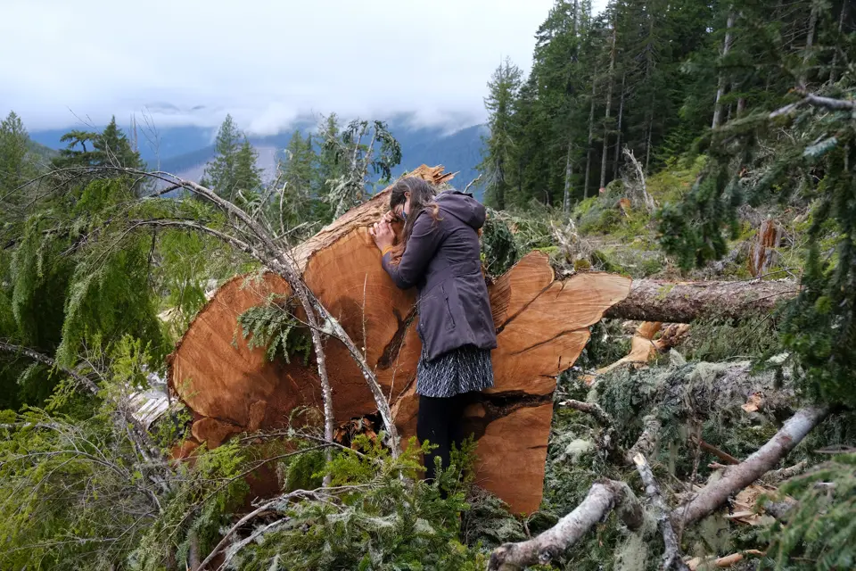 A woman leans on a tree that was cut fairly recently before this photo was taken