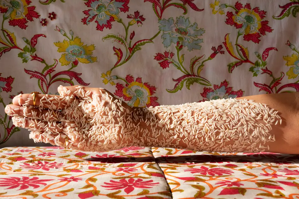 Rice and Hand