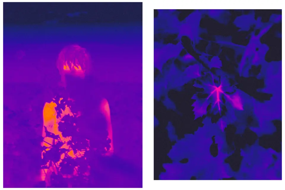 SMITH exposition Leica Galerie Paris