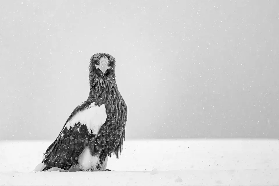 Olivier Larrey japon sous la neige avec le Leica SL3