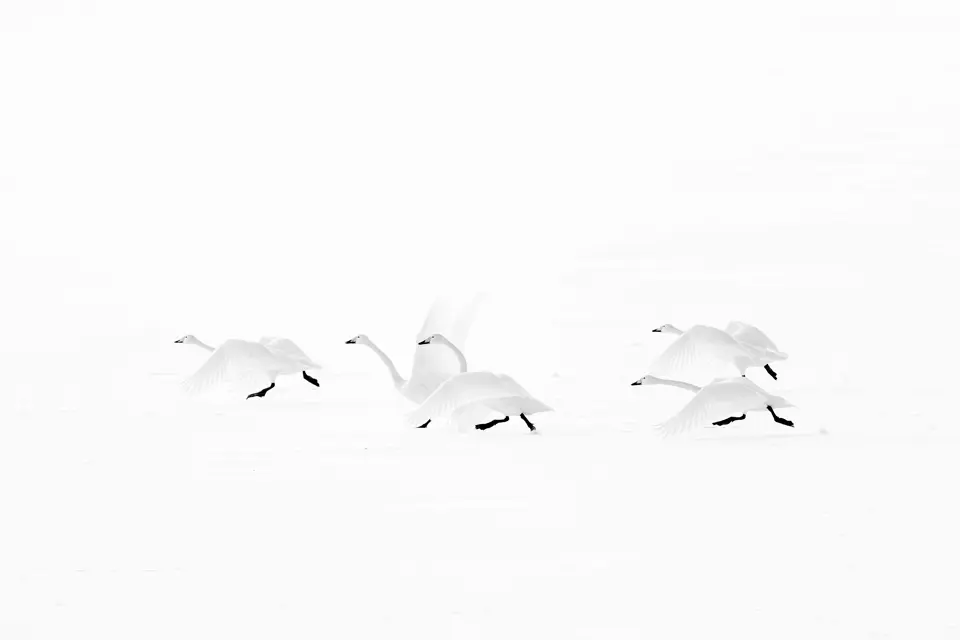 Olivier Larrey japon sous la neige avec le Leica SL3