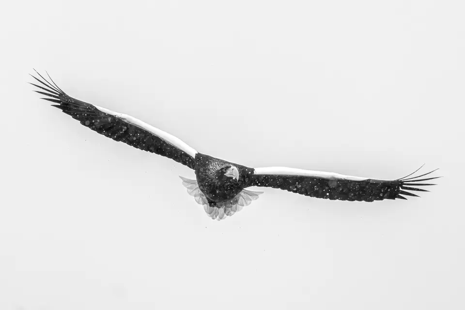 Olivier Larrey japon sous la neige avec le Leica SL3