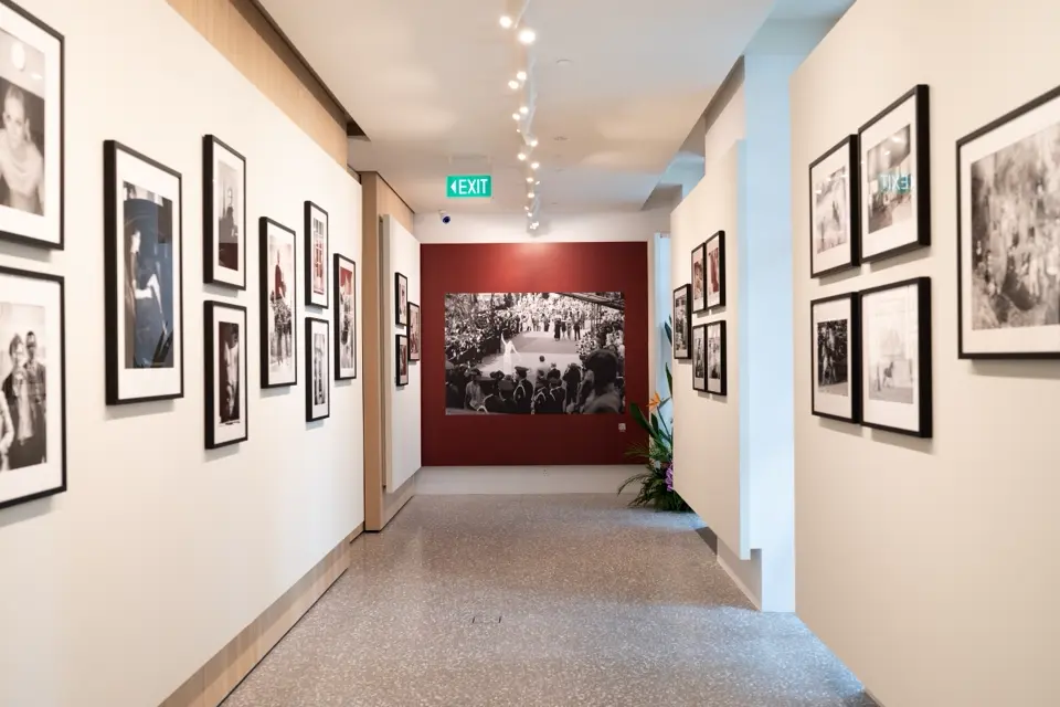 SG gallery SBQ