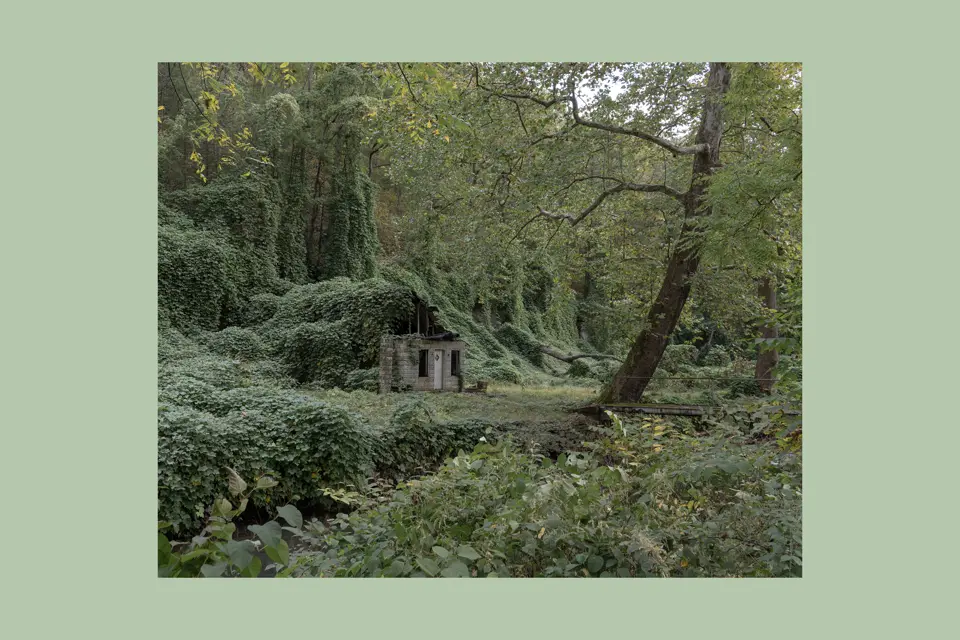 stone cottage in Forest
