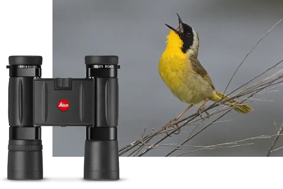 Singing Bird with Trinovid