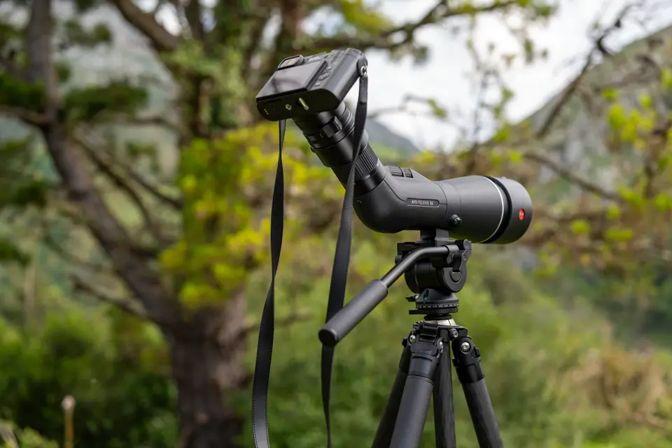 Digiscoping with Leica APO Televid and Leica Q