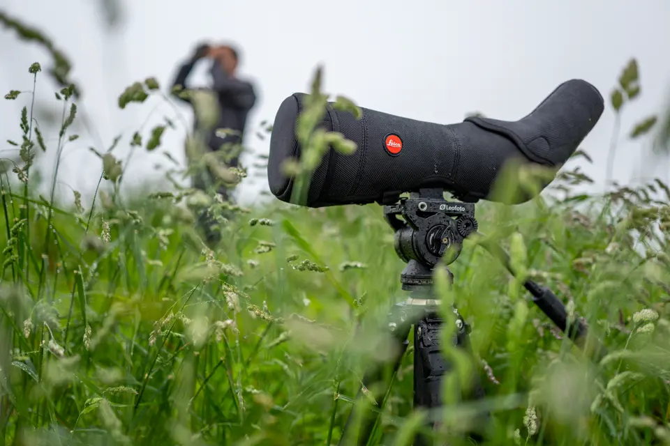 Leica spotting scope on a tripod in the gras