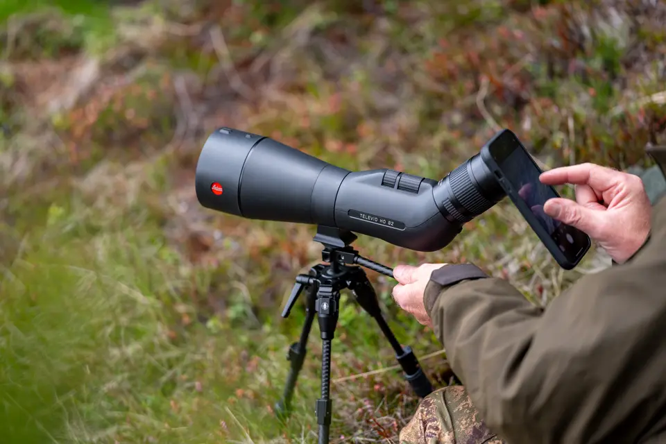 Digiscoping with Televid HD and smartphone