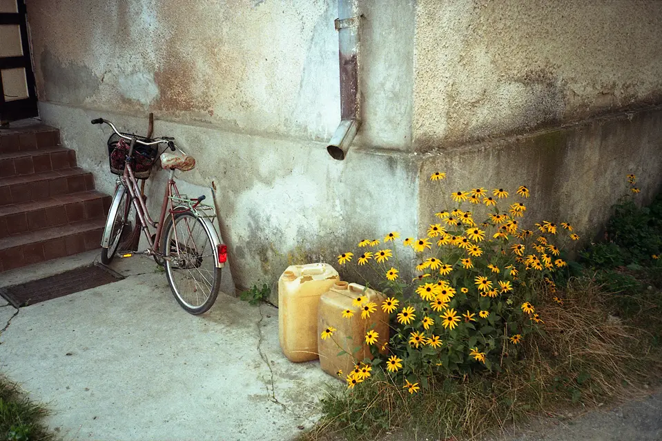 Colour photo of flowers and bicycle in front of concrete building