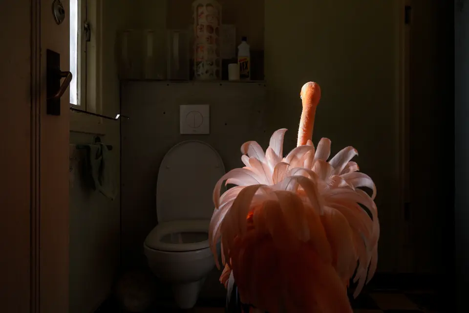 Leica Galerie Wien zeigt die Ausstellung "Meet Bob" des preisgekrönten Fotografen Jasper Doest