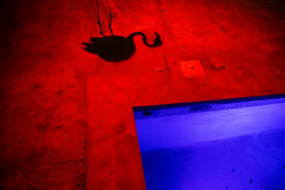 Leica Galerie Wien zeigt die Ausstellung "Meet Bob" des preisgekrönten Fotografen Jasper Doest