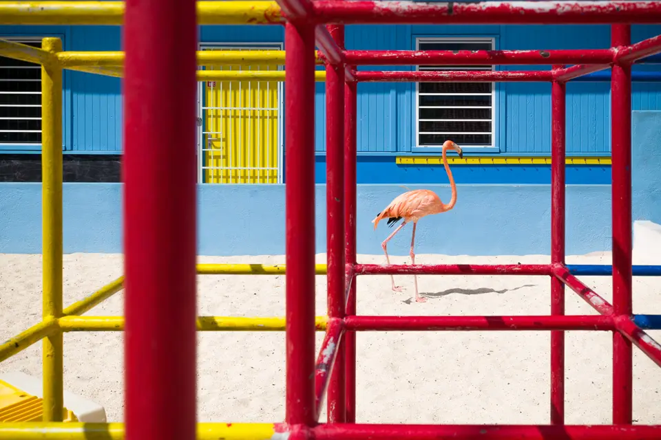 Leica Galerie Wien zeigt die Ausstellung "Meet Bob" des preisgekrönten Fotografen Jasper Doest