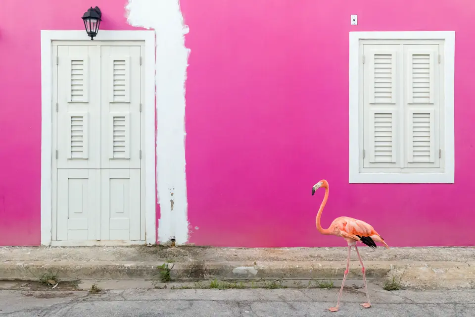 Leica Galerie Wien zeigt die Ausstellung "Meet Bob" des preisgekrönten Fotografen Jasper Doest