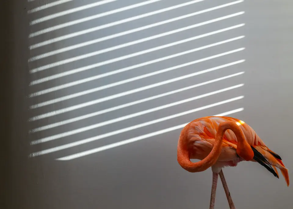 Leica Galerie Wien zeigt die Ausstellung "Meet Bob" des preisgekrönten Fotografen Jasper Doest
