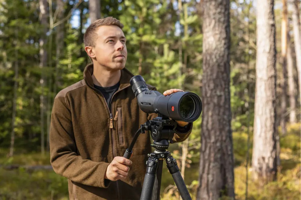A wildlife observer using a Leica Televid 82 spotting scope on a tripod in a sunlit forest.