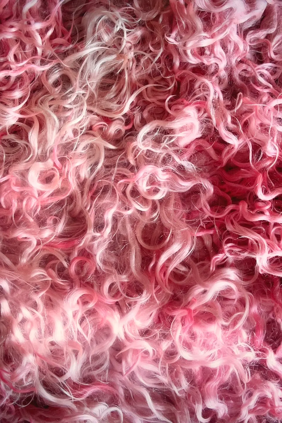 Colour image of pink coloured fibres