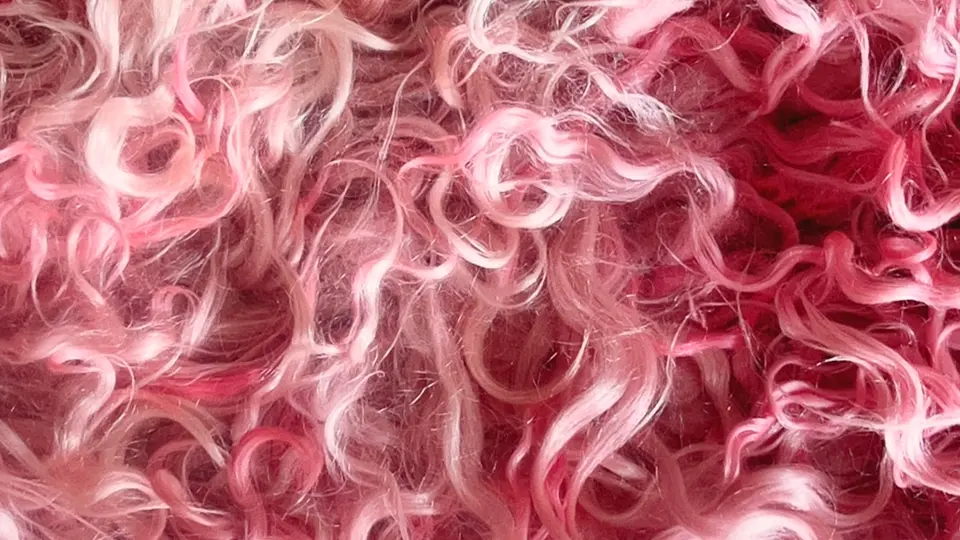 Colour image of pink coloured fibres