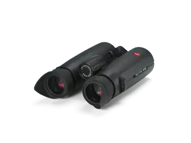Rubber_winged eyecaps_42006-42067_1920x1440px_sRGB_1.png