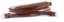 18837__tragriemen_braun_300.png