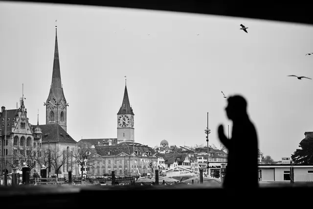Man with view to Zurich.