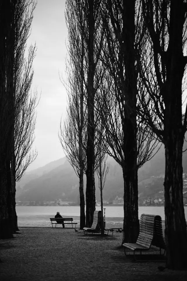 A picture of someone sitting on a bench and looking out over Lake Biel