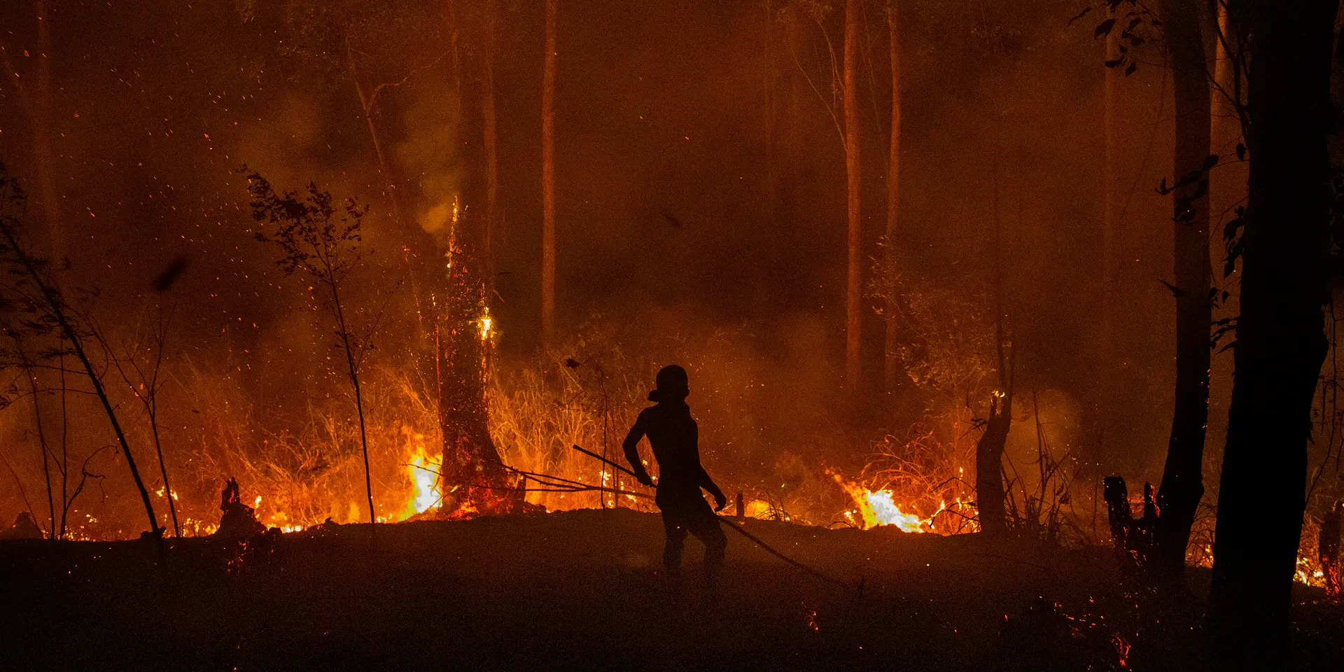 A firefighter stands in front of a fire in a dense forest at night.