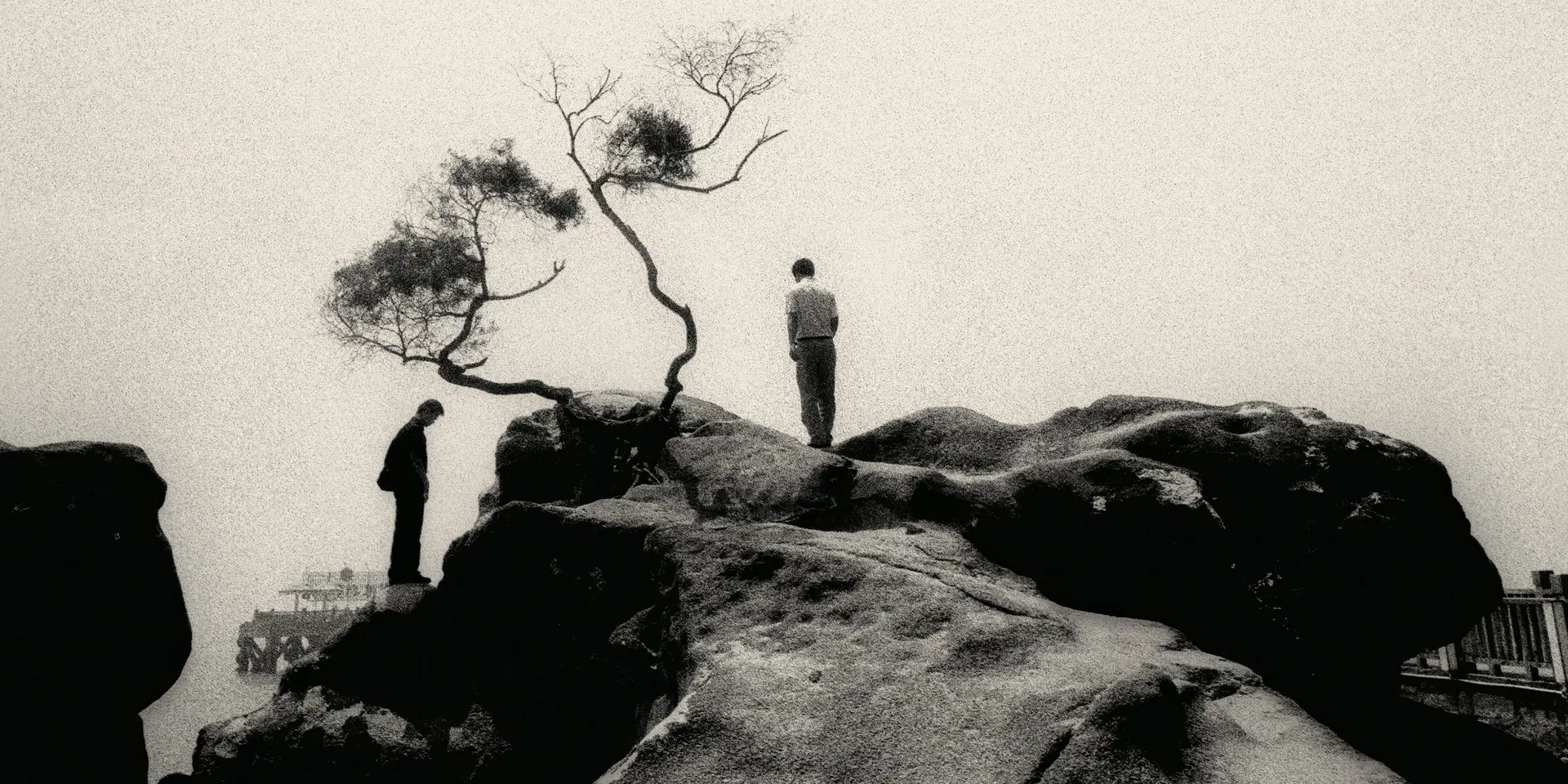 Two people are standing on large rocks next to a bare tree