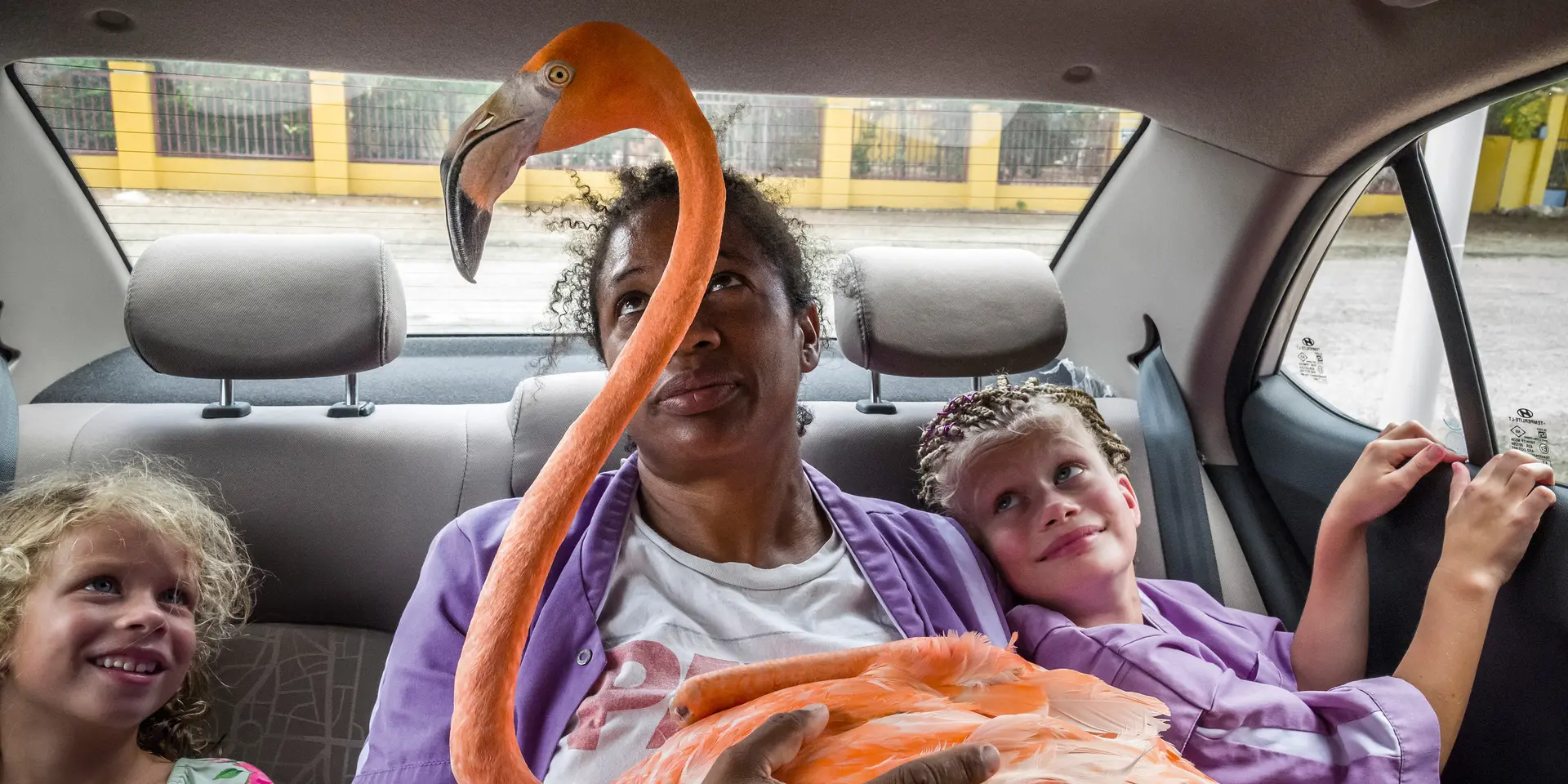 An adult and two children sit in the back seat of a car looking at a flamingo on the adult's lap. 