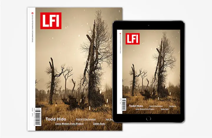 LFI 3_2024