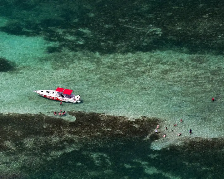 View from above of two boats and people in the water.