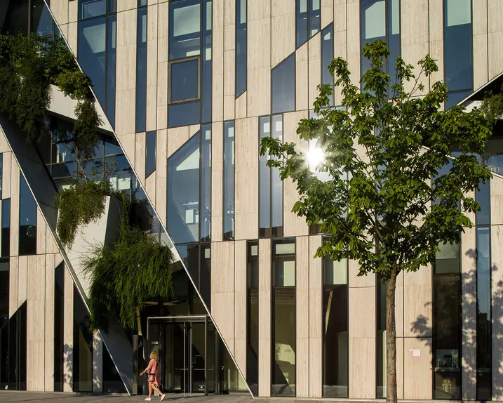 Window front of a big building with trees and plants.
