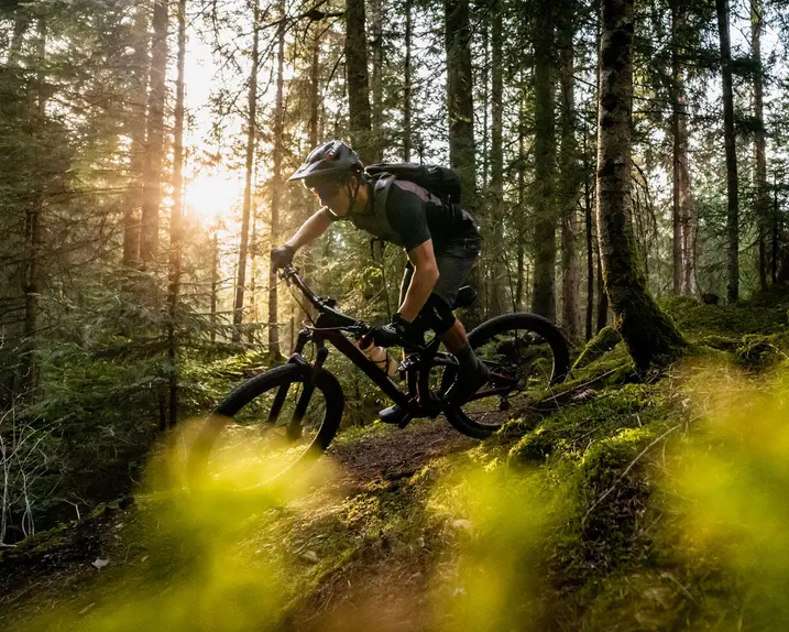 Man riding a mountain bike down a path in the woods on a sunny day.