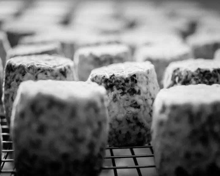 Close-up of a ripening blue cheese on a grid.