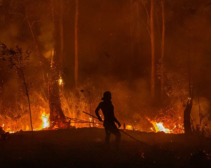 A firefighter stands in front of a fire in a dense forest at night.