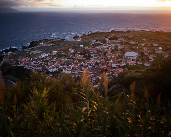 A small coastal village surrounded by green vegetation at sunset.