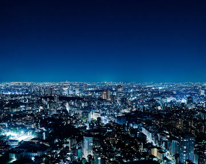 Panorama of an illuminated city at night. 