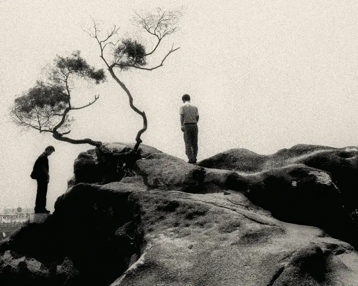 Two people are standing on large rocks next to a bare tree