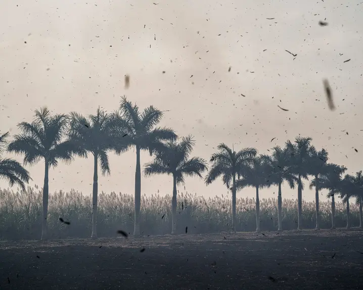 storm