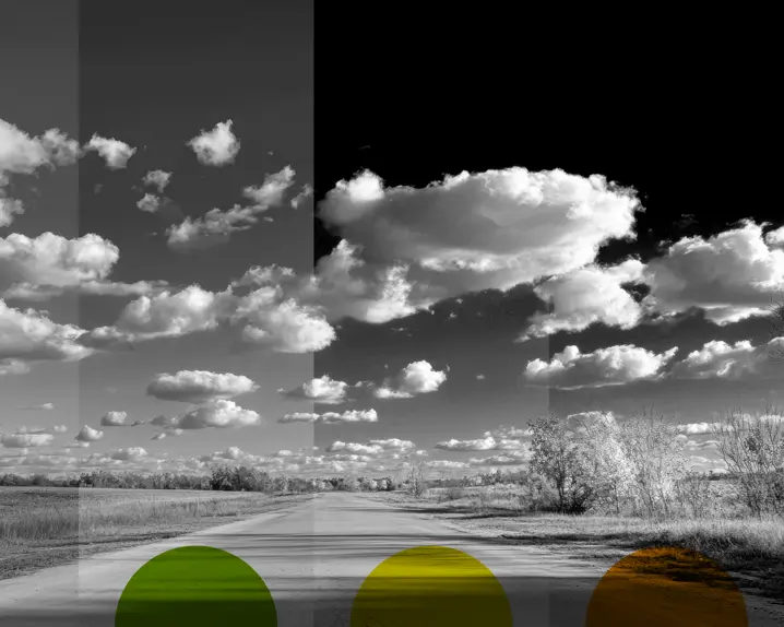 Leica Colour Filters comparison example.