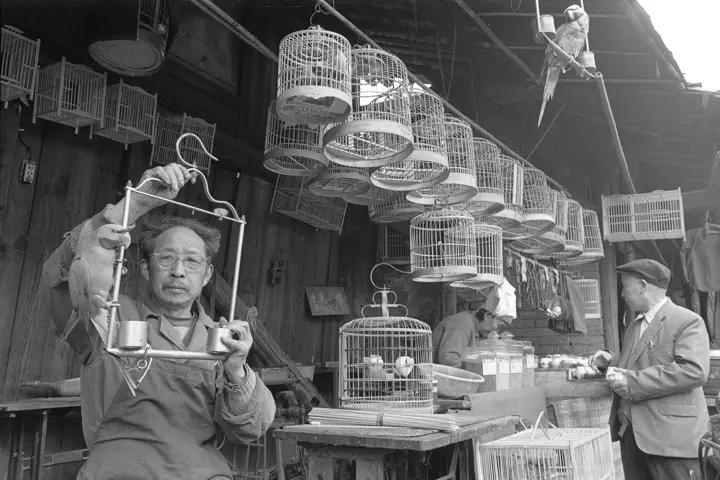 Bird Seller, Yibin, Sichuan, 1989. ©Wu Jialin.
