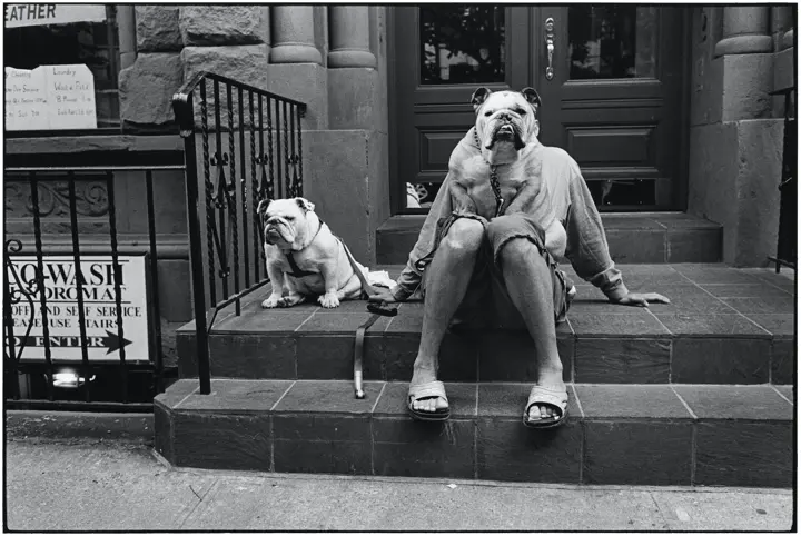 Man sitting on stairs with dog on his lap