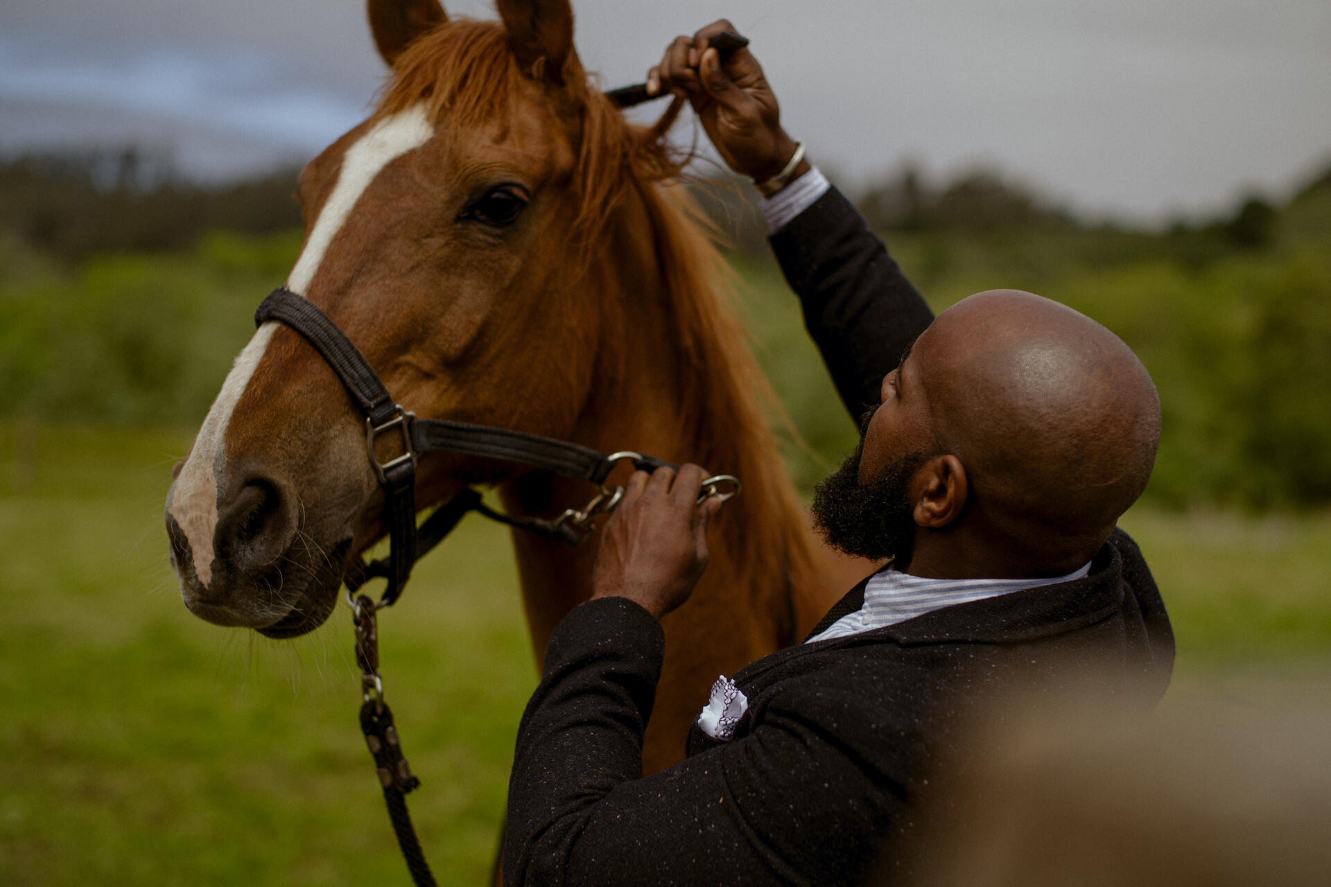 Man with a horse